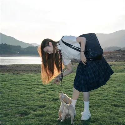 灵驹续集